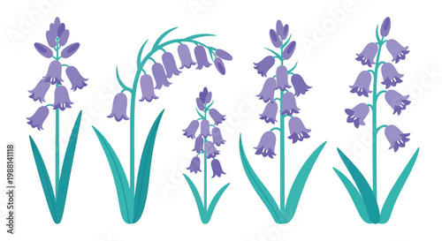 Collection of vibrant purple bluebell flowers with green leaves in a charming illustration style perfect for spring designs.