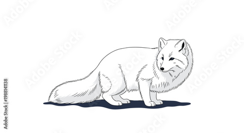 Beautiful illustration of an arctic fox with thick white fur looking over its shoulder, standing on a dark blue shadow in a snowy setting.
