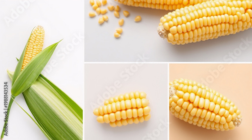 Image of corn seeds for product advertising promotion, photos from various angles, with different backgrounds, no mention of any brand, plain without writing.