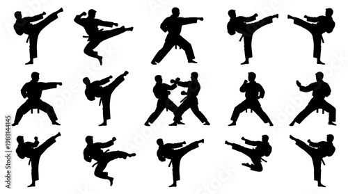Silhouettes of people doing karate kicks.