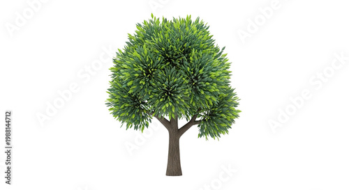 Dense Green Tree with Textured Bark on White Background