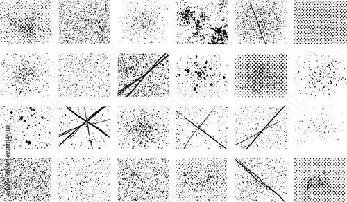 Microscopic view of bacterial cultures and mold growth patterns on agar plates