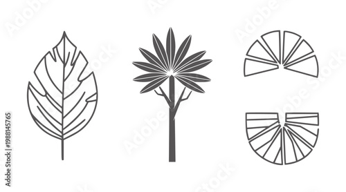 Stylized tropical leaf palm tree and fan shapes in dark grey