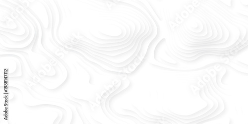 white topography map geography relief diagram texture design. Topography white background and black line world map texture design. Lines Topographic contour lines grid map seamless pattern.