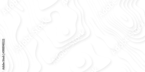 white topography map geography relief diagram texture design. Topography white background and black line world map texture design. Lines Topographic contour lines grid map seamless pattern.