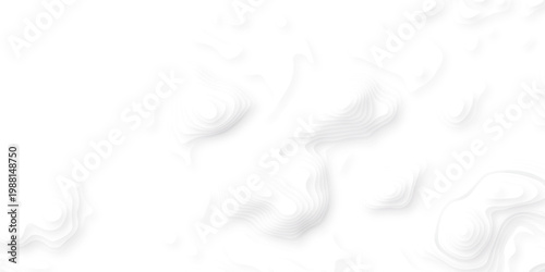 white topography map geography relief diagram texture design. Topography white background and black line world map texture design. Lines Topographic contour lines grid map seamless pattern.