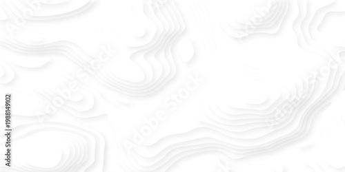 white topography map geography relief diagram texture design. Topography white background and black line world map texture design. Lines Topographic contour lines grid map seamless pattern.