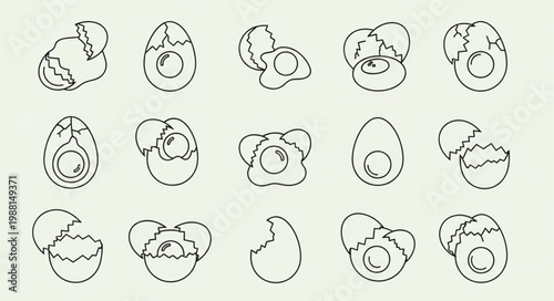 Collection of Hand Drawn Egg Illustrations in Various Stages.