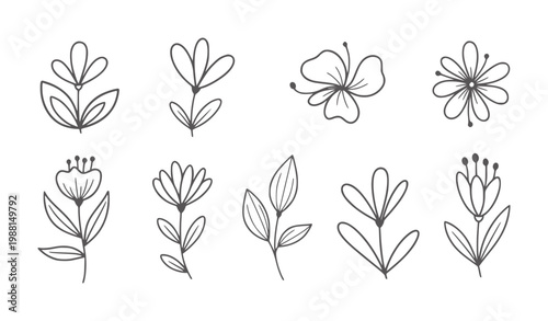 Collection of eight simple hand drawn floral and leaves flower leaf botanical nature