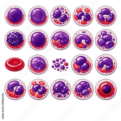 Blood Cells Vector Icons Set 2D Flat with Red Blood Cells, White Cells and Medical Biology Symbols