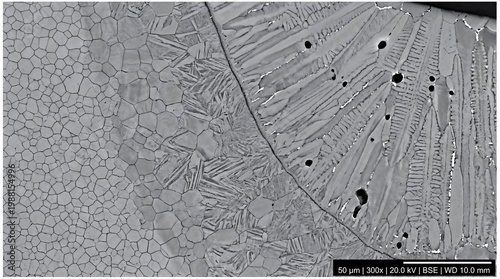 Metal microstructure showing equiaxed grains and dendritic solidification