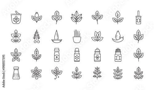 Collection of line representing herbs spices and natural remedies remedy