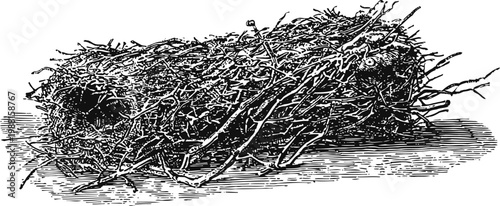 Bird nest made of twigs and branches with hollow interior, natural birdhouse for wildlife protection