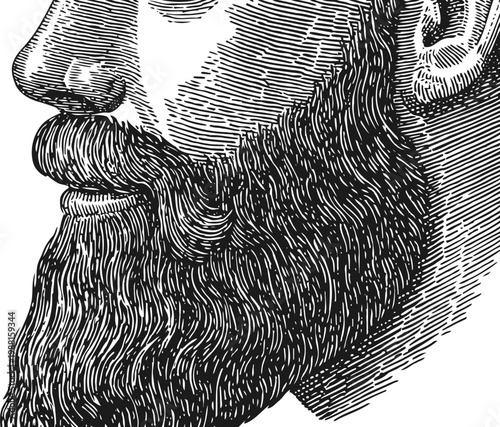 Close up side view of man's detailed beard and mustache in vintage engraving illustration