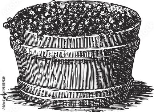 Hand drawn wooden bucket filled with berries vintage illustration of a container with round fruit