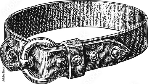 Leather dog collar with metal buckle and rivets, detailed vintage engraving illustration