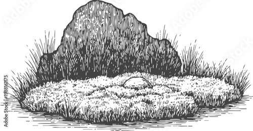 hand drawn natural rock and moss with grass detailed sketch vintage botanical illustration of wilderness nature landscape