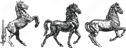 Three vintage black ink illustrations of horses in various dynamic poses and movement styles