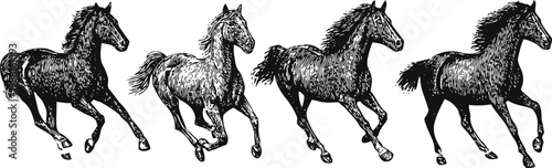four black and white hand drawn galloping horses in vintage sketch