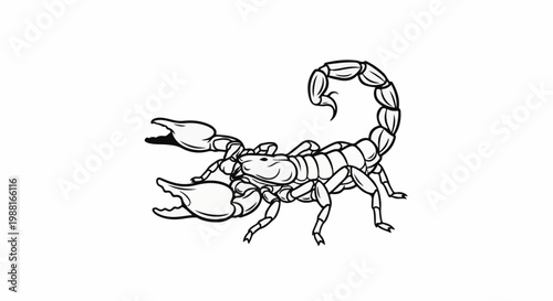 Stylized line drawing of a scorpion with pincers raised