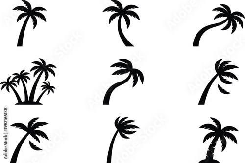 Eine Sammlung von neun verschiedenen Palmen-Silhouetten als grafische Symbole auf weißem Hintergrund.