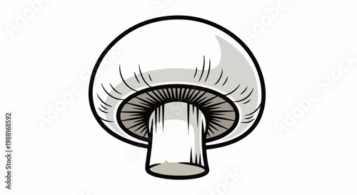 A simplified, stylized cartoon drawing of a white button mushroom