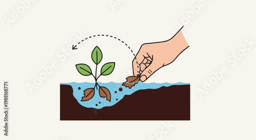 Hand tending a small plant in water and soil, removing a brown leaf