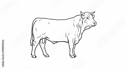 Stylized line art of a muscular bull standing profile