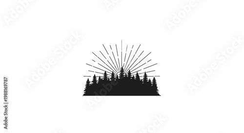 Silhouette of evergreen trees against a burst of sun rays