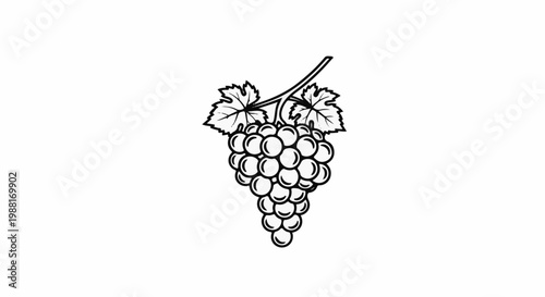 Black and white illustration of a ripe bunch of grapes with two leaves