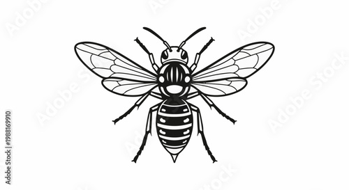 Detailed black and white illustration of a wasp against a white background