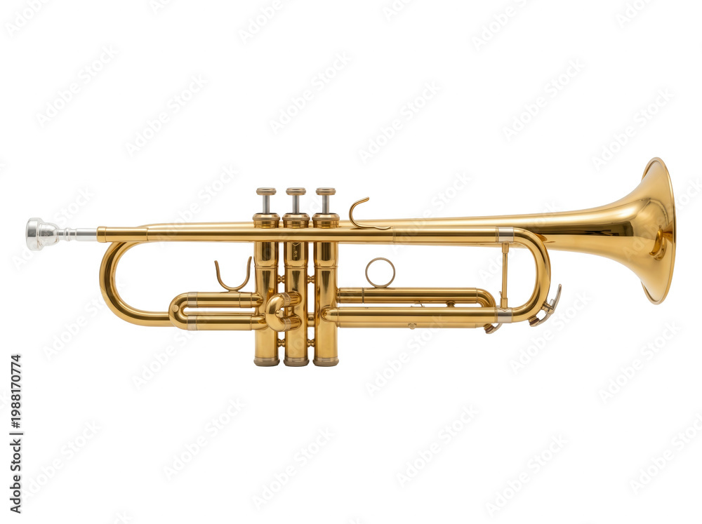 Fototapeta premium Trumpet isolated on white background