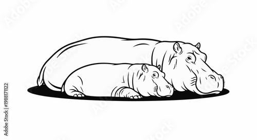 Two hippos, one large adult and a smaller juvenile, are resting