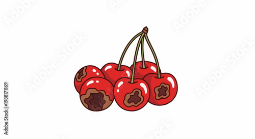 A cluster of cartoon cherries, some showing rot