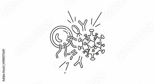 A cell fights off a virus with antibodies and smaller cell