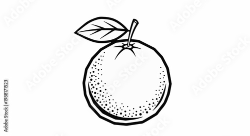 Stylized black and white drawing of a single orange with a leaf