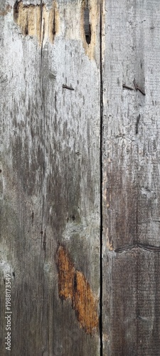 Authentic Wabi-sabi wood texture with rusty nails and decay.