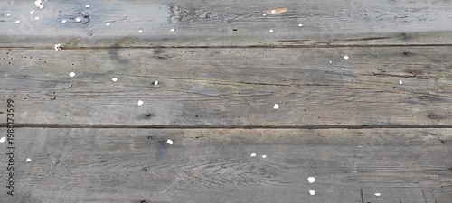 Wet dark wood table with fallen white petals after rain.