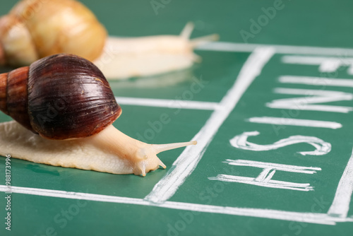 Foto Snails near finish line on green racing track