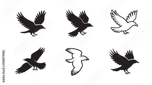 Set of black and white bird silhouettes representing crows or ravens in flight poses for design