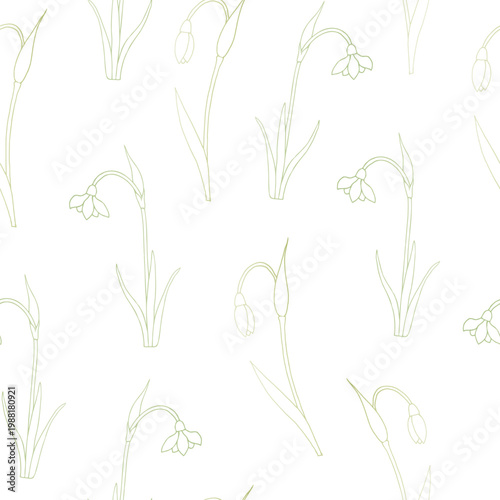Vector spring snowdrop seamless pattern flowers. Graphic easter hand drawn illustration isolated on background. Botanical and wedding, baby clip art. For greeting card, wallpaper, wrapping paper