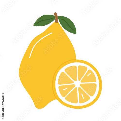lemon fruit, fresh citrus whole and sliced lemon, natural food ingredient, minimal clean design- vector illustration