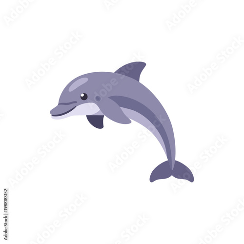 gray dolphin, underwater marine animal, colorful illustration