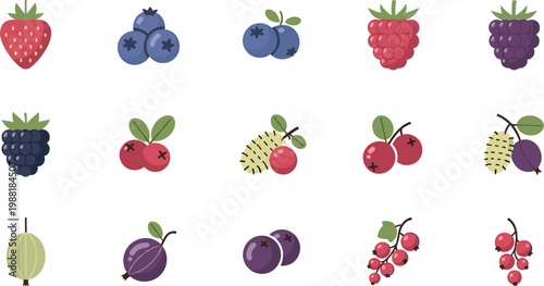 Colorful flat berry fruit icon set with strawberry blueberry raspberry blackberry currant and gooseberry for healthy food design