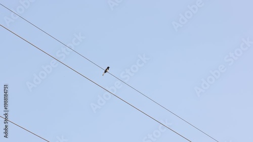 cable car on blue sky
