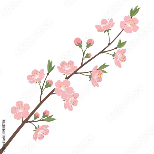 ピンクの花が咲いている枝が描かれている。桜の花は春の訪れを知らせるシンボルで、自然の美しさや日本文化を表現している