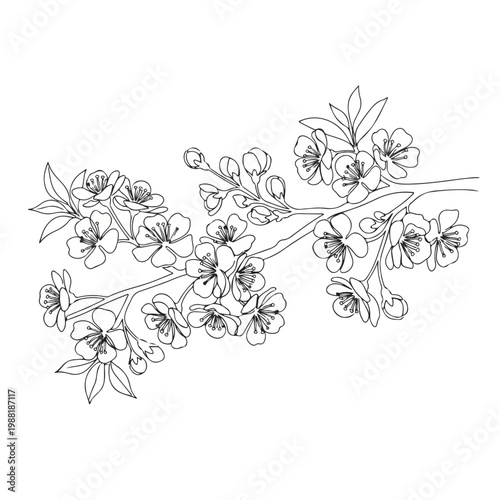 花のブランチに咲く美しい桜の花が描かれている。自然や春のテーマに適したデザイン。アートやグラフィックに使える素材