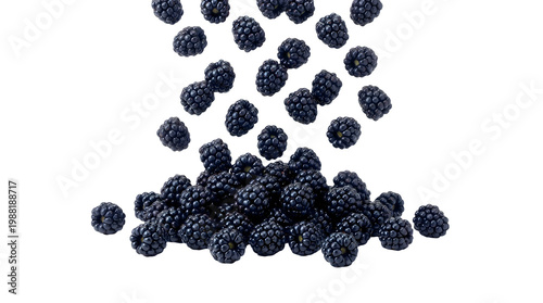 Fresh blackberries falling and piling up isolated on transparent background