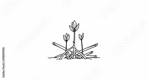 A black and white sketch of mangrove roots and sprouting leaves