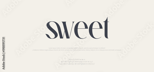 Elegant font, sweet type and luxury typeface, vector royal English alphabet. elegant classic letters in minimal line 
